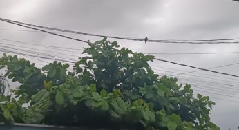 Tempo volta a ficar estável nas próximas horas em Assis Chateaubriand; Veja os detalhes na previsão