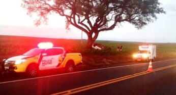 Condutor morre após carro entrar em plantação, capotar e bater em árvore na PR-323