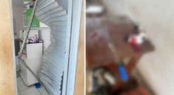 Polícia prende irmãos que invadiram casa da mãe e decapitam filhote de gato