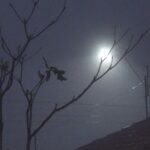 neblina