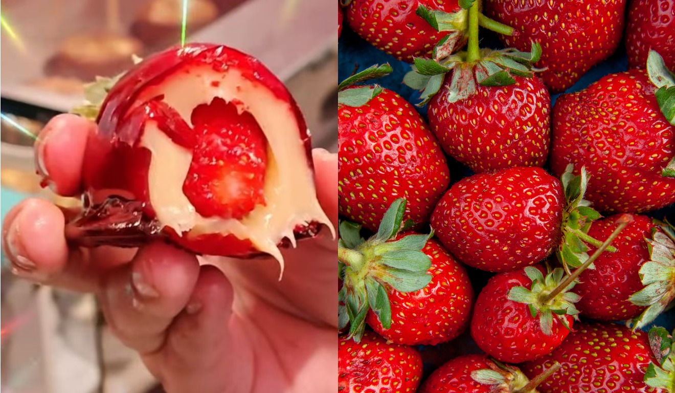 Morango do Amor: doce viral nas redes sociais causa aumento no preço da fruta