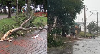 Forte vento atinge Assis Chateaubriand, deixa sujeira e moradores sem energia elétrica em alguns pontos