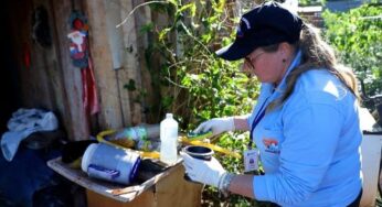 Novo método de monitoramento do Aedes aegypti é implantado em Assis Chateaubriand