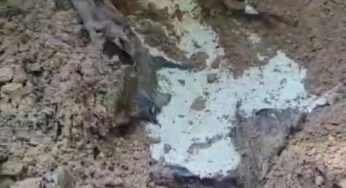 Polícia começa a desenterrar veículo em área rural de Icaraíma para verificar ligação com desaparecidos