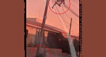 Suposto cadeirante é flagrado furtando fiação em Maringá e vídeo viraliza