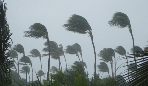 Ventos de 100 km/h: Paraná sente efeito de ciclone extratropical nesta quarta (10)