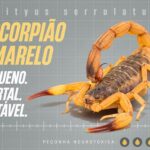 escorpiao_banner_1600x1080