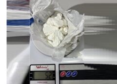 Ação da Polícia Rodoviária na PR-239 resulta em apreensão de entorpecentes: 3 pessoas de Jesuítas estavam no veículo