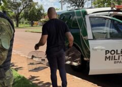 PCPR e FORÇA VERDE apreendem 7 pássaros silvestres que eram mantidos em gaiolas em Assis Chateaubriand