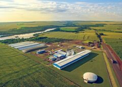 Assis Chateaubriand e Terra Roxa: Amidonarias registraram entrada de mais de 138 mil toneladas em 2025