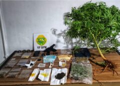 Suspeito é preso por tráfico de drogas após abordagem policial durante a madrugada em Toledo