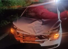 Pedestre morre após atropelamento na PR-484 em Quedas do Iguaçu