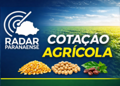 Veja como fechou o mercado agrícola e financeiro nesta manhã: Preços praticados pela C Vale
