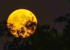 Sexta-feira 13! Superstição atravessa séculos e divide opiniões