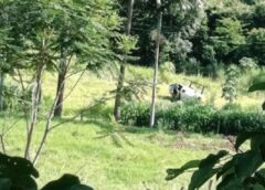 Helicóptero Falcão 13 da PM cai durante ação policial na área rural de Matelândia