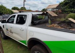Operação Conjunta da Polícia Civil e IAT Apreende Mais de 40 Aves Silvestres em Assis Chateaubriand e Alerta para Crime Ambiental