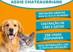 Inscrições para castrações gratuitas de cães e gatos começam nesta quarta-feira dia 25