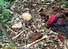 Ossada humana é encontrada em área rural da região e intriga autoridades
