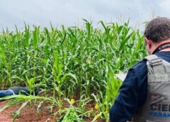 Homem de 34 anos é encontrado morto com vários disparos de arma de fogo