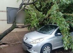 Árvores caem sobre carros e bairros registram alagamentos durante forte chuva em Toledo
