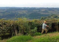 Informações do Valor da Terra Nua devem ser enviadas até 30 de abril; CNM orienta gestores municipais quanto a regras
