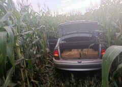 Apreensão de quase 279 kg de maconha após perseguição na PR-239