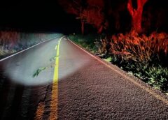 Pedestre morre após atropelamento na PRC-467 e motorista foge sem prestar socorro