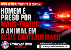 Homem é preso por maus-tratos a animal e suspeita de zoofilia em Assis Chateaubriand