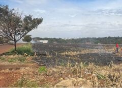 Bombeiros controlam incêndio ambiental em área próxima ao Jardim América, em Assis Chateaubriand